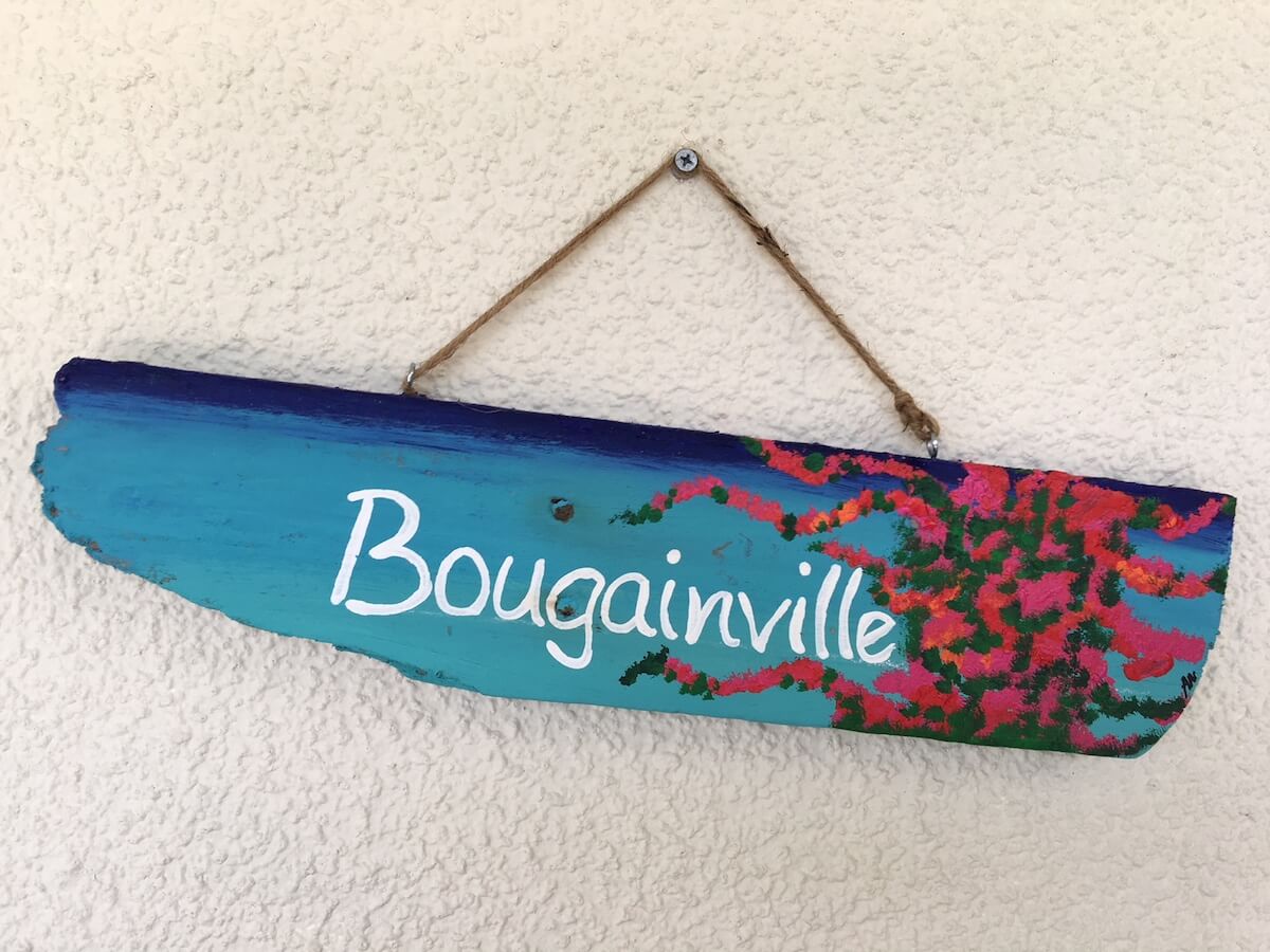 bougainville-9