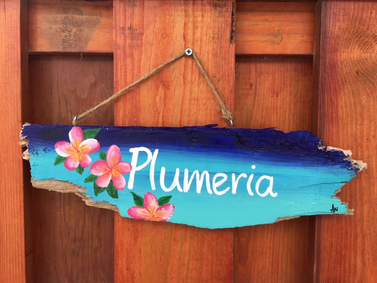 plumeria-10